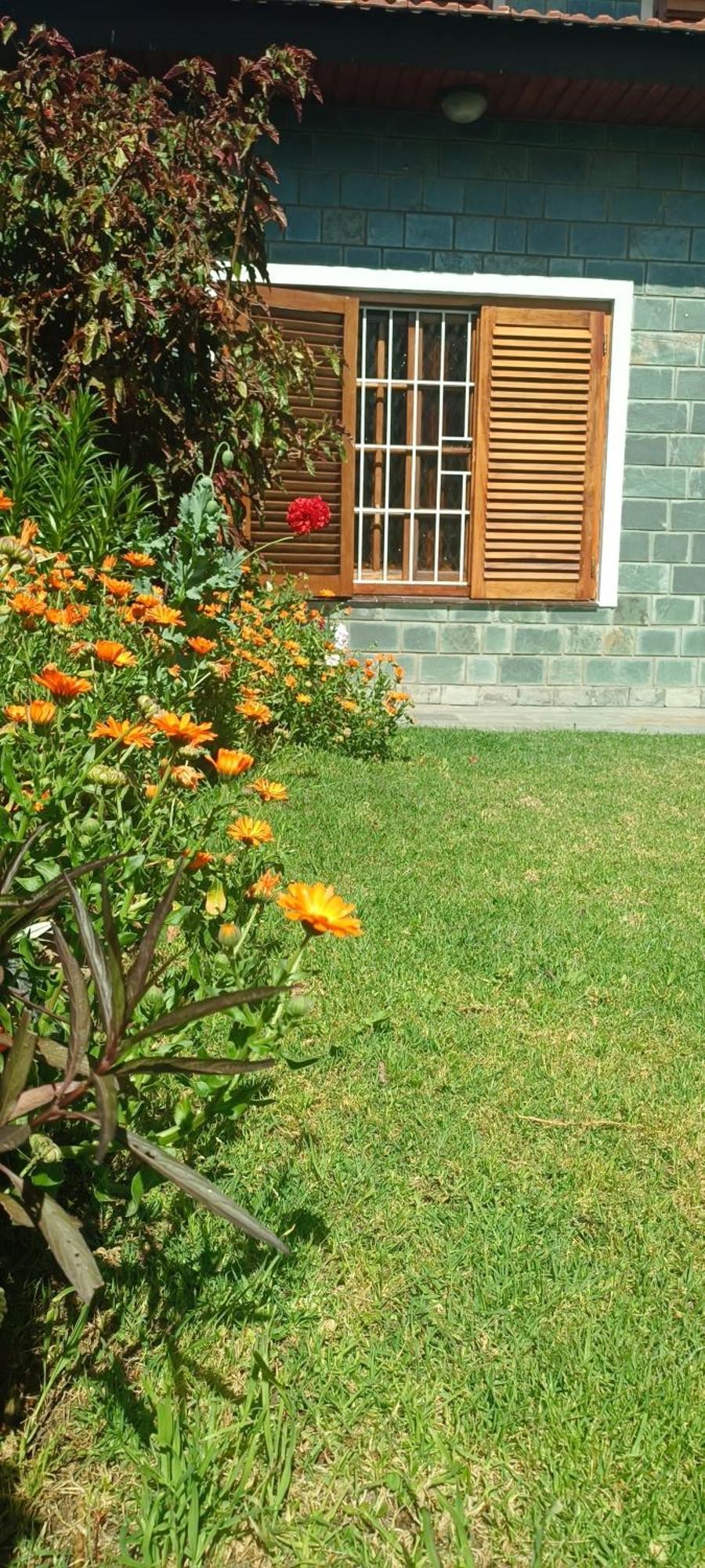 Casa Olivia- Alojamiento Con Piscina - Aeropuerto إيزيزا المظهر الخارجي الصورة